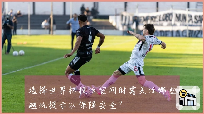 选择世界杯投注官网时需关注哪些避坑提示以保障安全？