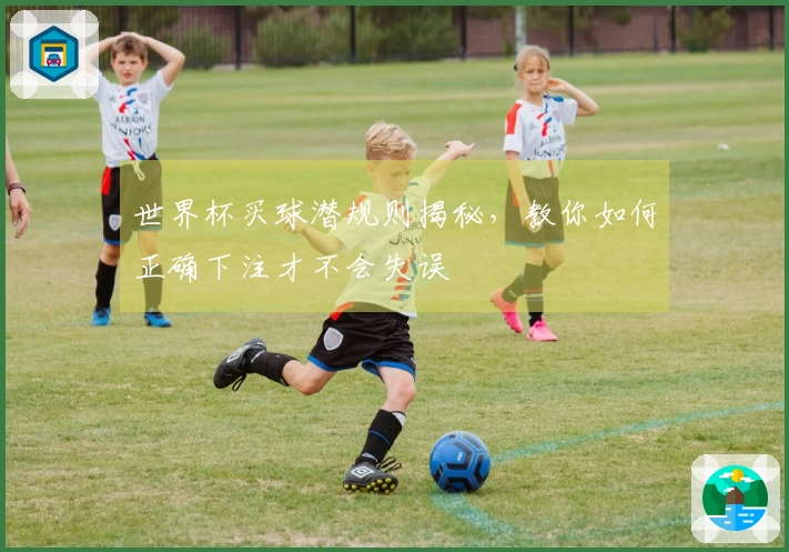 世界杯买球潜规则揭秘，教你如何正确下注才不会失误